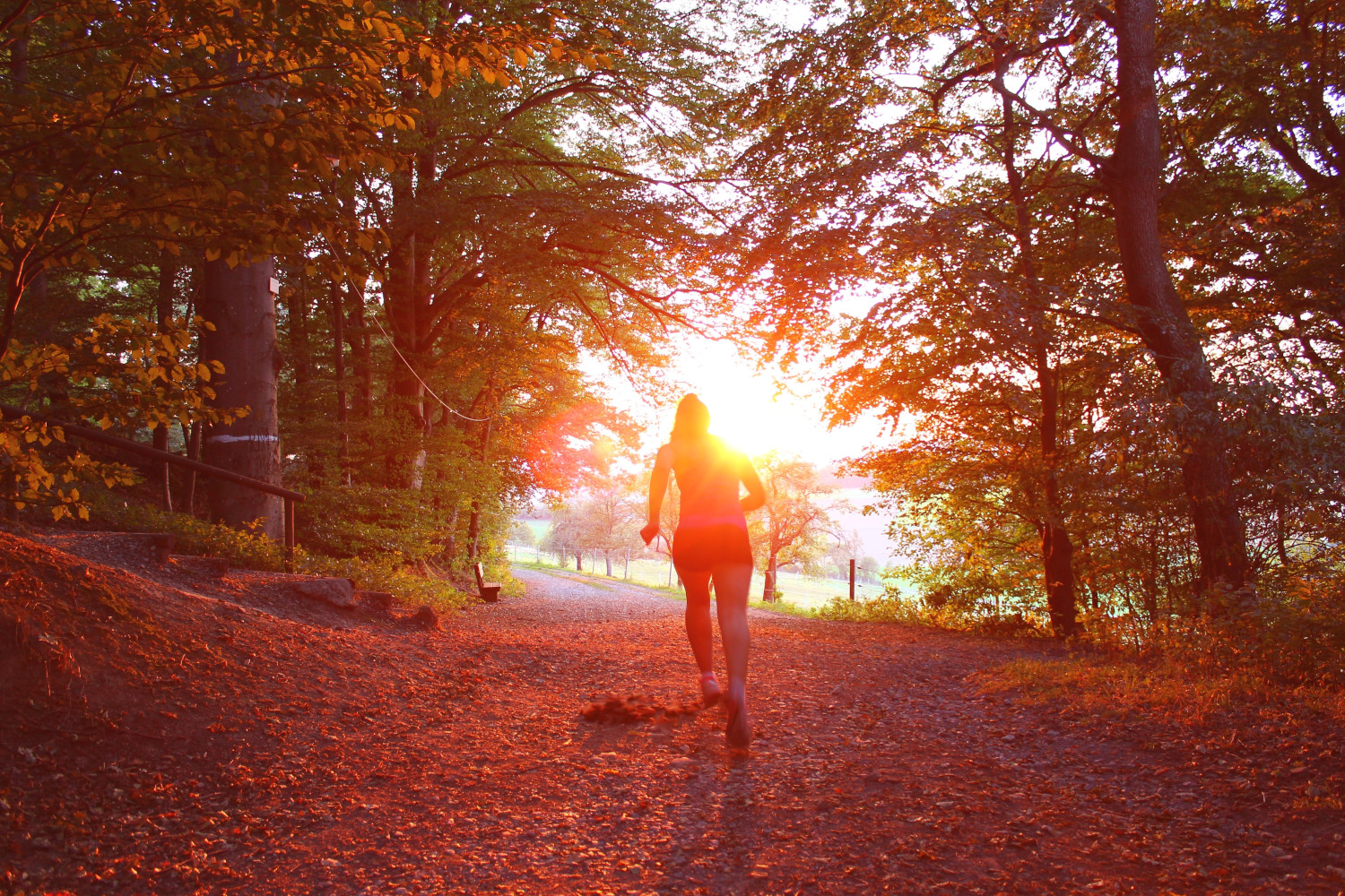 ParkRuns and Plant Powered