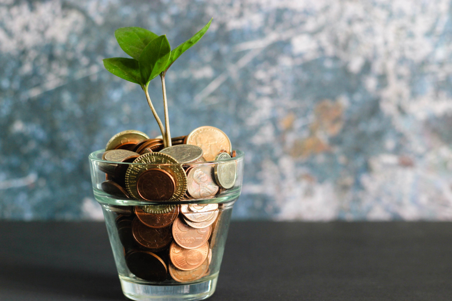 Taking on a Leadership Role : Lessons learned as a Toastmaster Treasurer Part 2