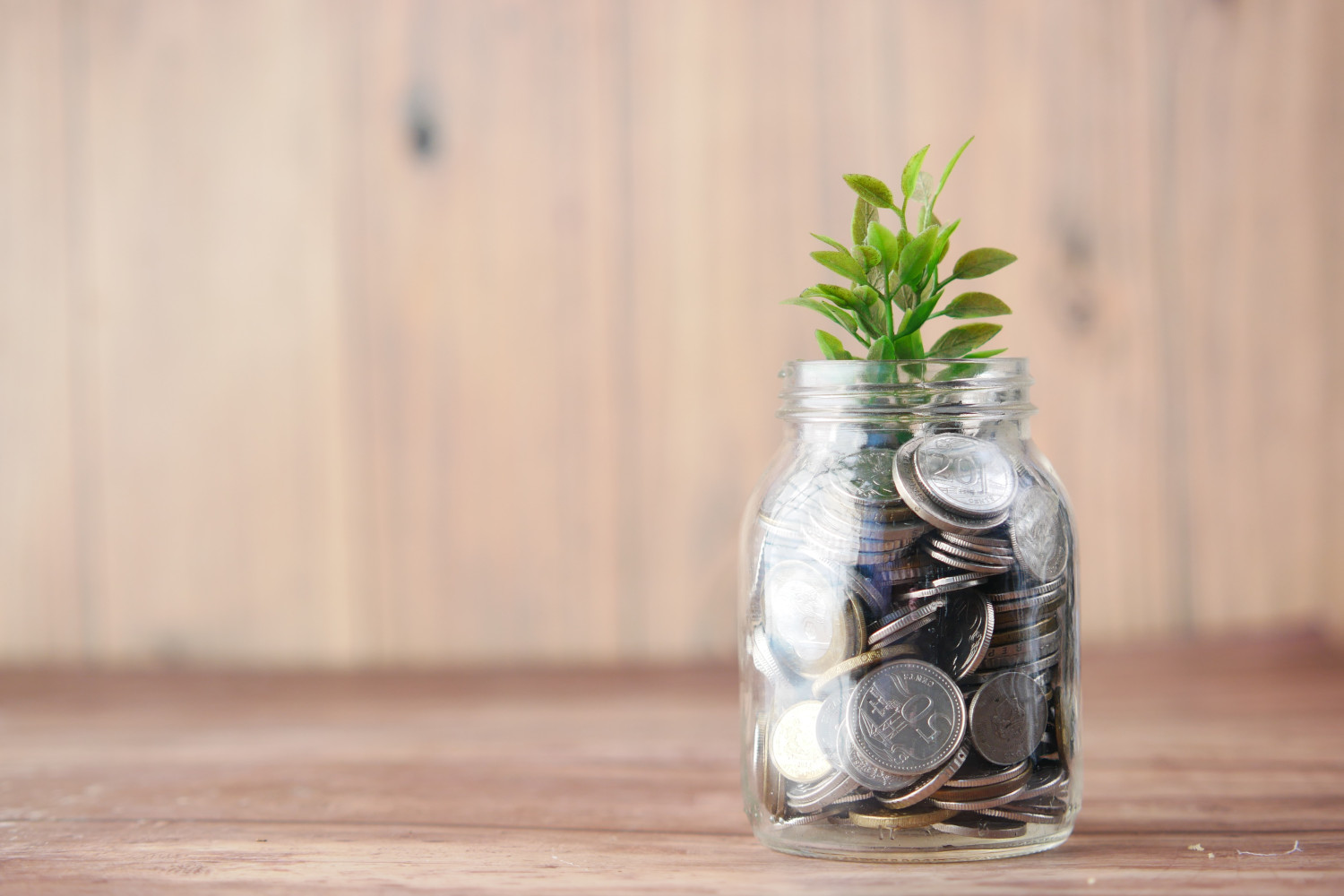 Venturing into Vegan Investing
